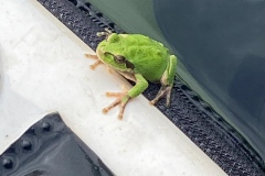 line_oa_chat_230703_231416