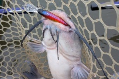 PXL_20251026_015057274