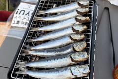 line_oa_chat_260415_220312_group_1